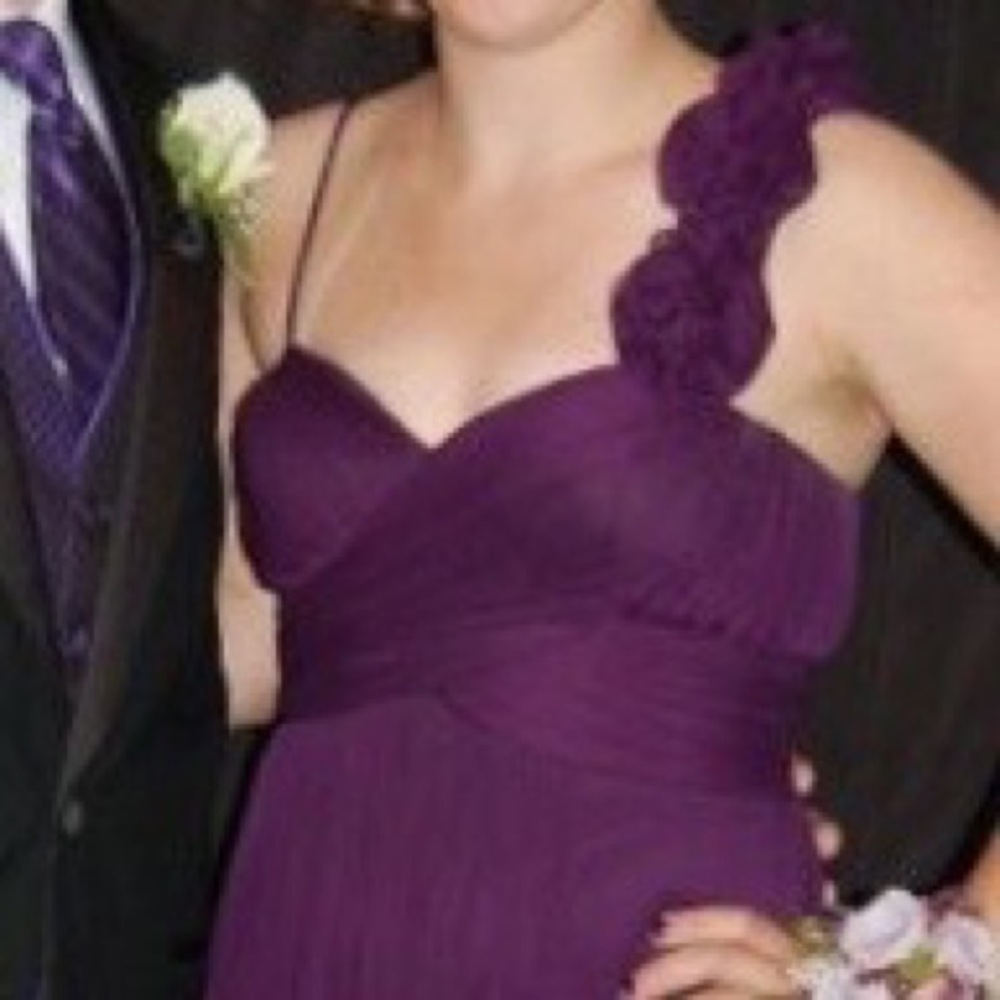 Betsy and Adam Plum Dress